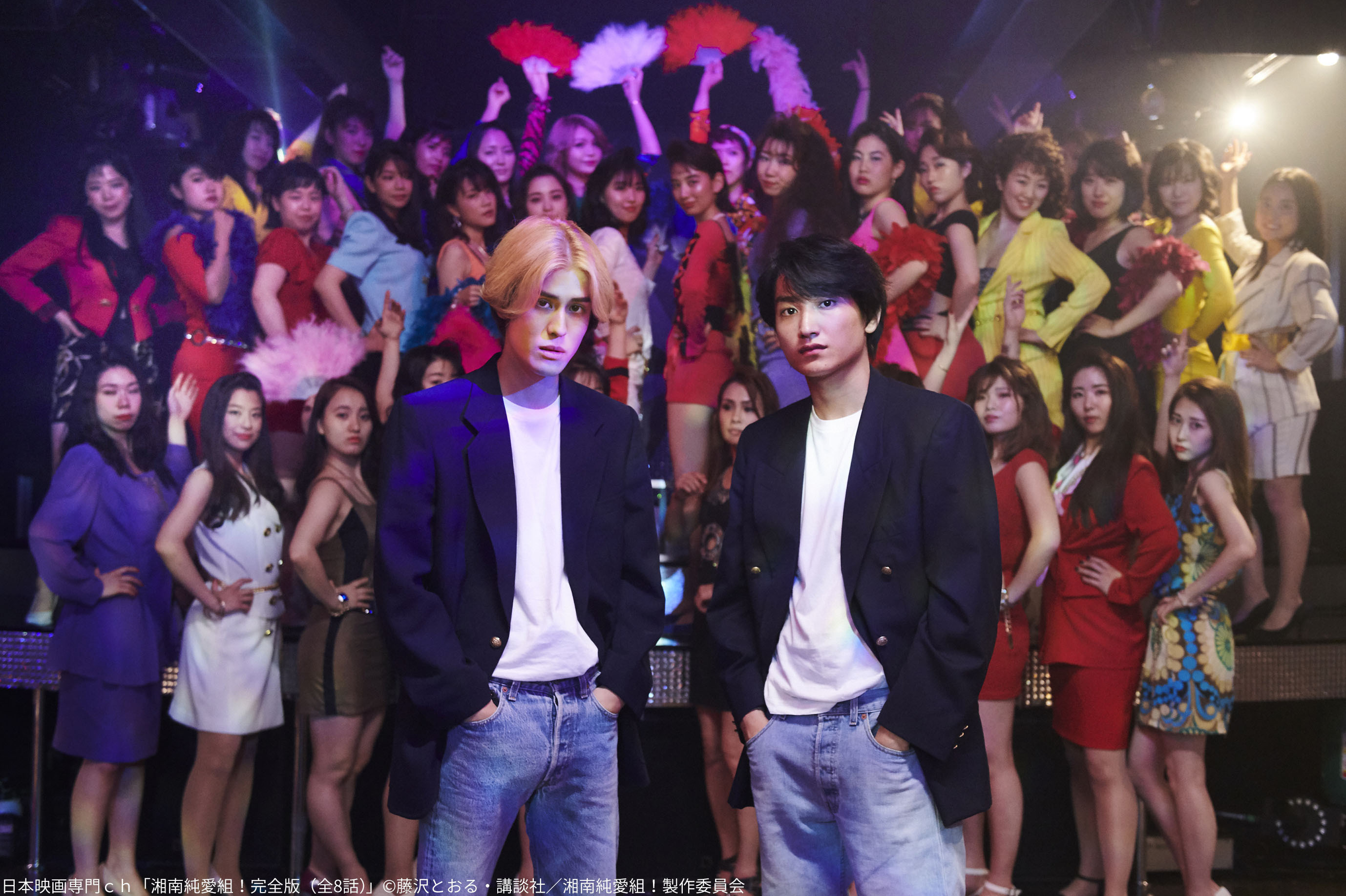 تويتر 吉田志織 بحث تويتر