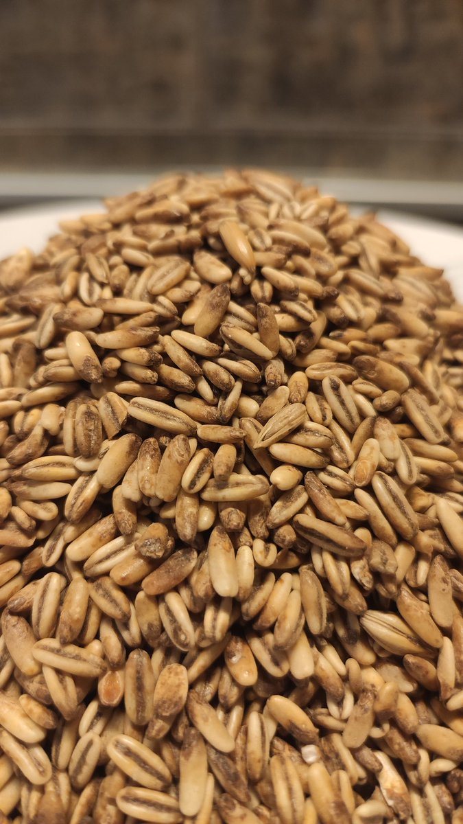 zaognom's tweet photo. Dan je baš za nešto malty. 🌾🌾 https://t.co/fkOdxPBu3l