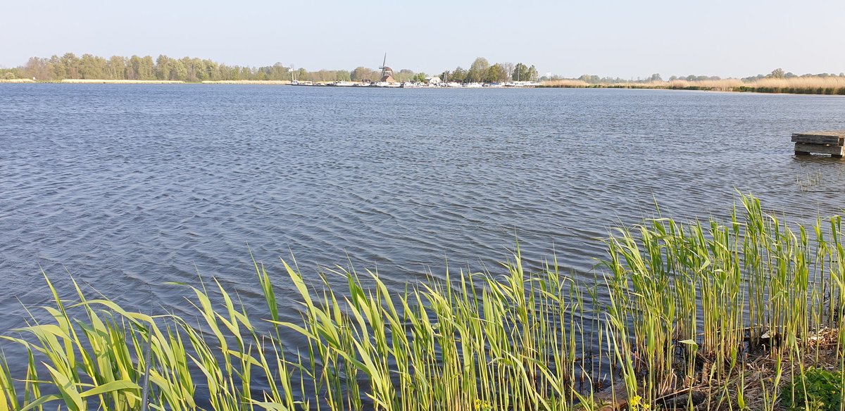 Het is er eindelijk van gekomen.
Vissen op de Rottemeren.
<a href="/JolandaBakkker/">Jolanda Bakker</a> #witvissen