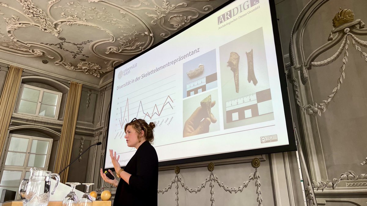 Yesterday, my colleague @NisaIduna and I were able to present our current archaeological research on rural settlement in #Noricum as part of the #ColloquiumVeldidena at the @uniinnsbruck @univienna @oeai_oeaw #ARDIG #zooarchaeology #digitalarchaeology