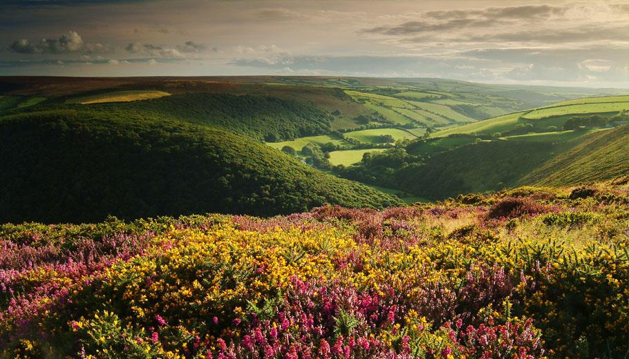 Explore the wild and diverse landscape of Exmoor when in North Devon. From Europe's first dark sky reserve to iconic Exmoor ponies and plenty of activities to keep you busy, what are you waiting for? bit.ly/2LastES