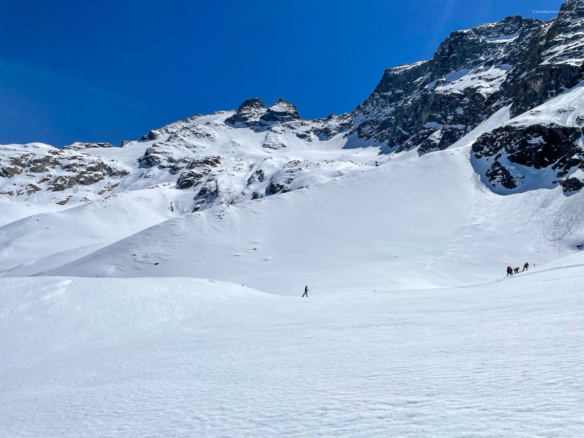 UIMLA Official tweet media