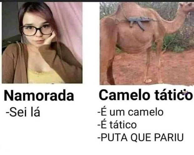 Bom dia
