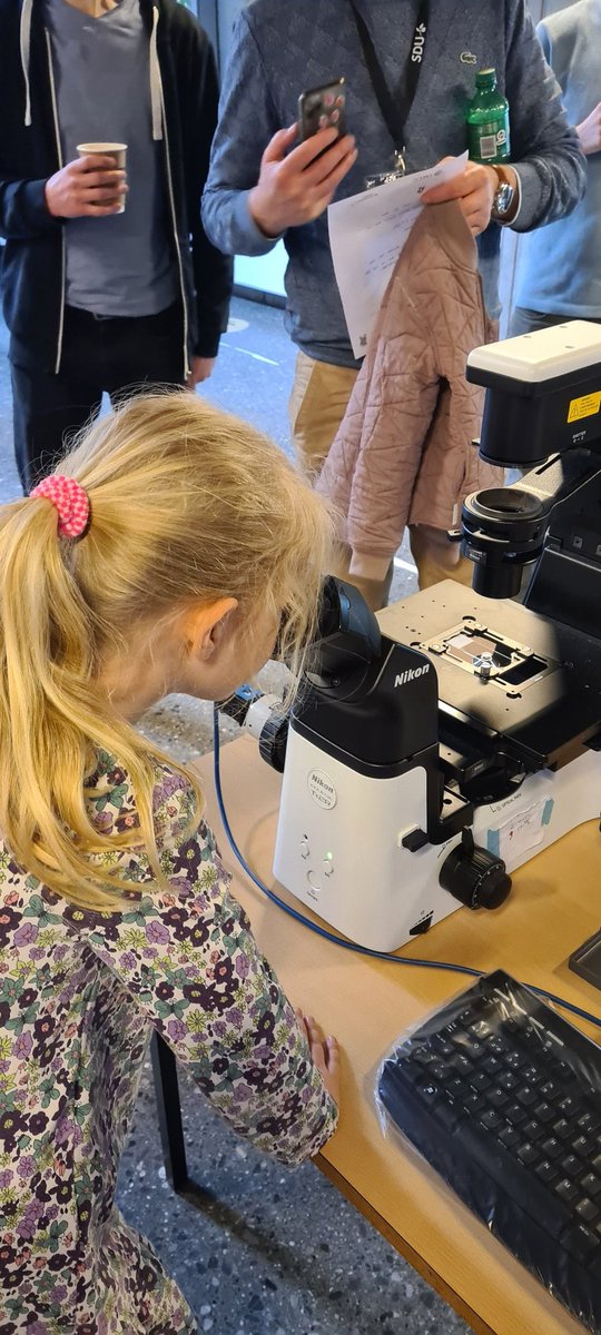 The youngest scientists in the world are currently hard at work in the lab, isolating DNA from fruit🍌🍎🍐🥝 @ATLAS_SDU @GenomicsUnit @forskdk @NATsdu @GrundforskFond  #ForskningensDøgn #Adiposign pic.twitter.com/dOvFrL0vTs