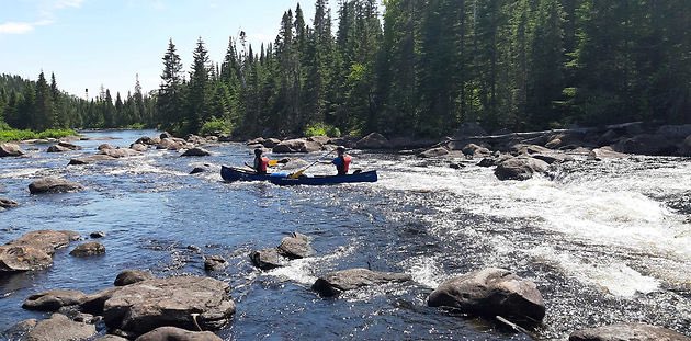 refarmermarie's tweet photo. Voyage : Le Canada en canoë : un voyage insolite, 100 % nature et aventure - https://t.co/XgWWIWZmVU https://t.co/5Cy6c92uJ1 via @GuideDuRoutard https://t.co/abN4YJRWlz