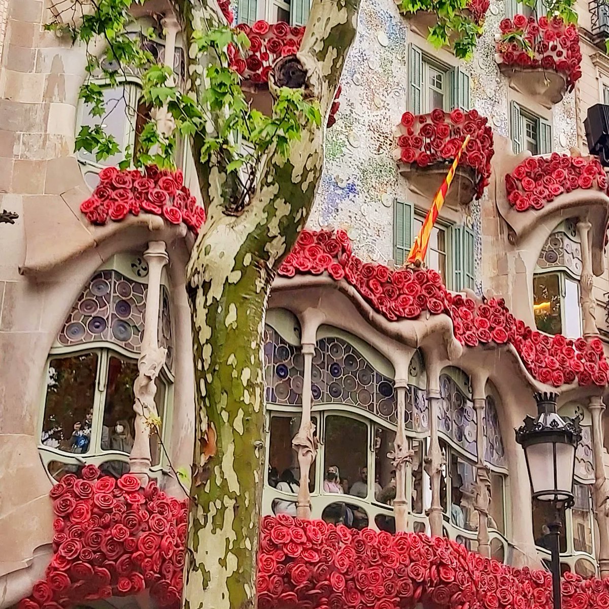 ORGANIC GOURMET tweet media