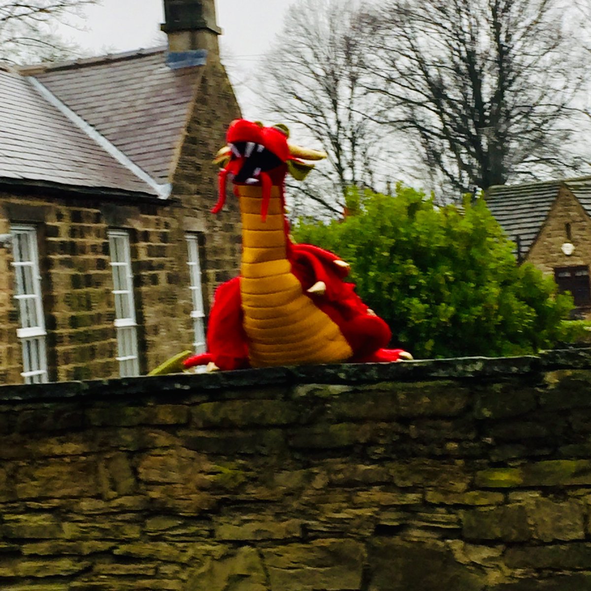 DoreVillageSoc's tweet photo. Fancy hunting a dragon this weekend? It’s Theodore’s first public appearance for two years although he was seen briefly during the DVS Living Advent Calendar in 2020. Dore people who know about King Ecgbert might think we should be hunting a Wyvern - dragons are worth hunting too https://t.co/2xJzIpBypY