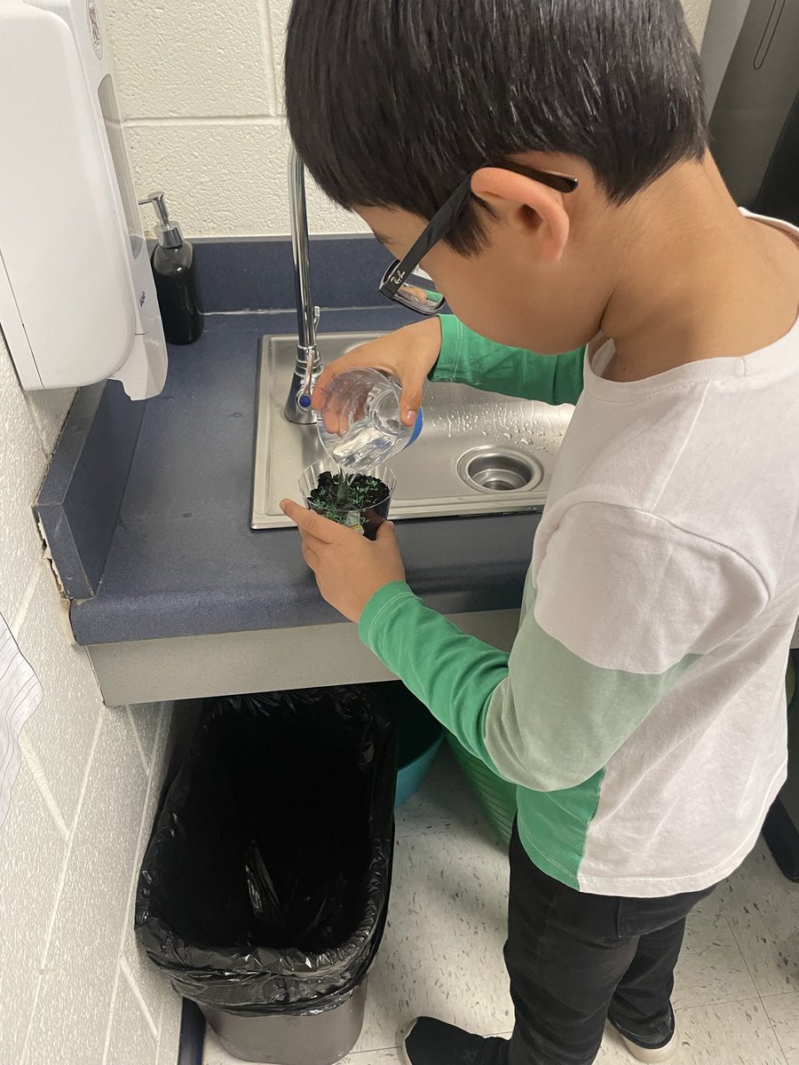 MsNarkevic's tweet photo. Starting our plant unit and celebrating earth day by planting some grass to track over the next few weeks! @RLCPrincipal https://t.co/6TUAQ1ZlgS
