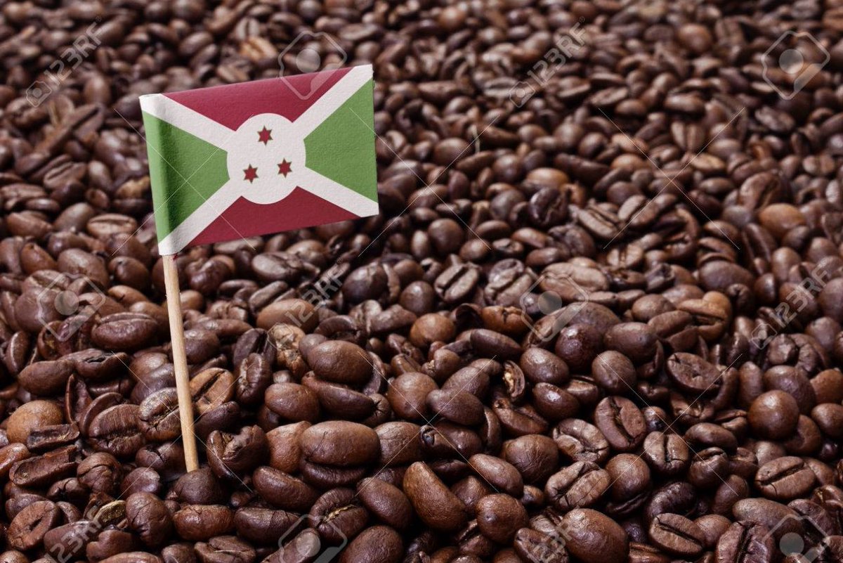 🇧🇮 Le café du #Burundi de 5 Coopératives regroupées au sein d'un Consortium des Coopératives de Café (COCOCA) vient de se classer meilleur café de l'année à Utrecht (Pays-Bas) lors d'une dégustation organisée par <a href="/pureafrica/">Pure World Africa sh</a>.