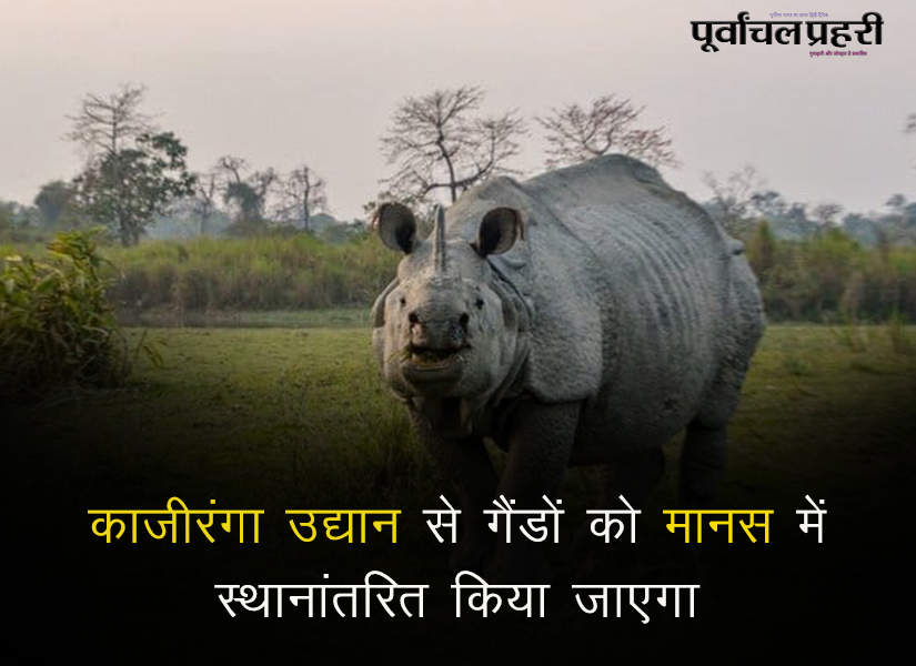 aapkaprahari's tweet photo. ◼ जल्द शुरू होगा Indian Rhino vision 2.0
◼ काजीरंगा में गैंडों की संख्या 2613 है ।
🔸https://t.co/LZRJJci6lI
🔸https://t.co/lWXFyLfo4i
🔸https://t.co/TdzeyxQeXP
#KazirangaNationalPark #Raino #Assam #northeast #Purvanchalprahari #Glpublication #hindinews #hindimedia #india https://t.co/yiPWaGaXJq