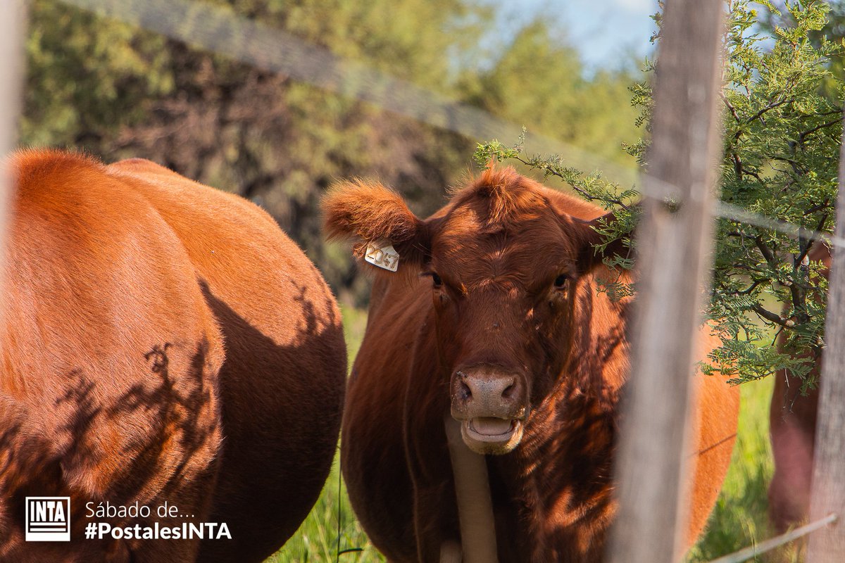 Sábado de... #PostalesINTA 📸