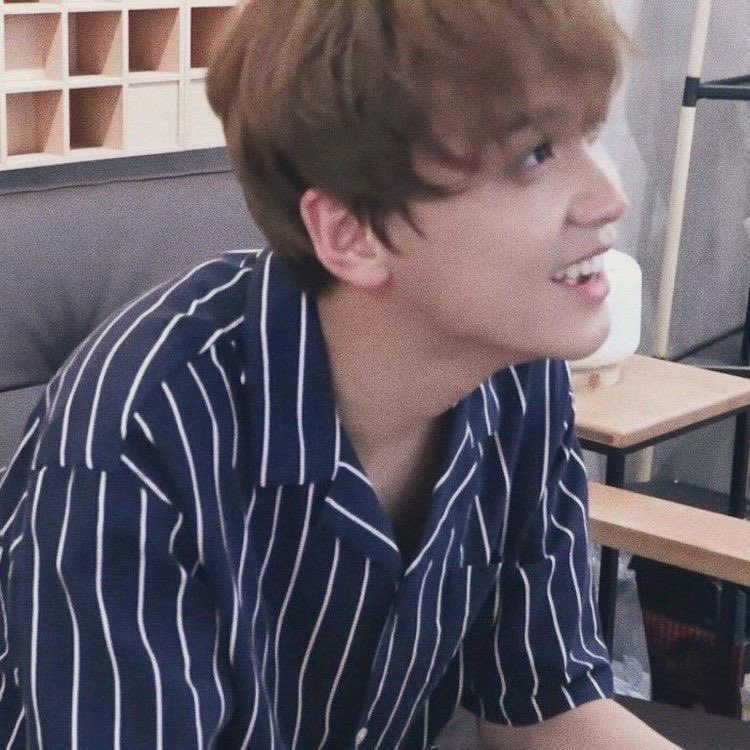 — the love language is: hanan abinaya

abinaya 
haechan few tweets au