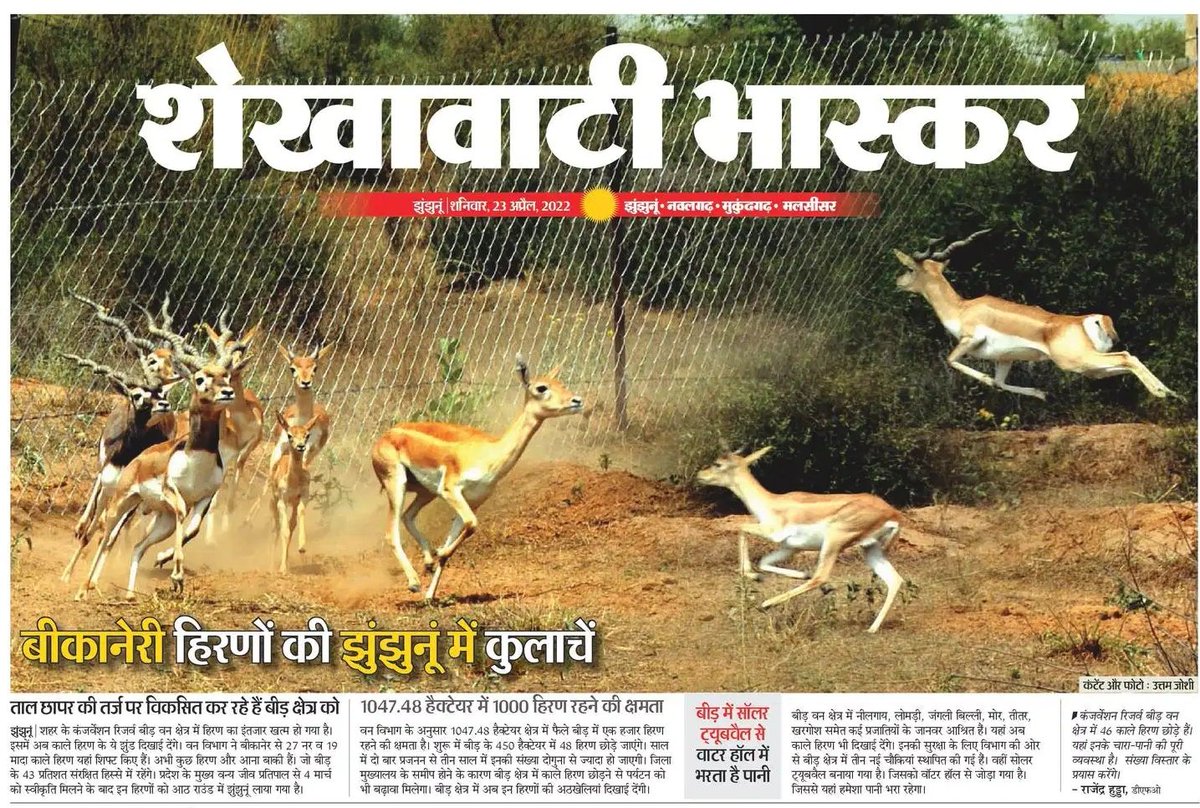 udhamdeeg's tweet photo. यह झुंझुनूं का तालछापर!!!
बीहड़ में बीकानेर से लाकर छोड़े हिरण...
#Talchapar #Rajasthan
@RajCMO https://t.co/FVSIUtmmMV