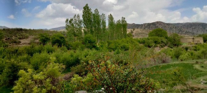VisitAFG's tweet photo. This is beautiful Paktia province 😍
📸 @LaiqAbid https://t.co/q1cqbQIICV