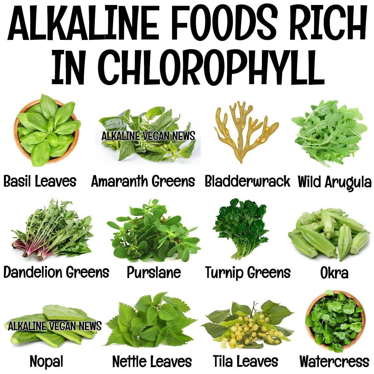 deborah_saffer's tweet image. My #Diet is Complicated. I’m #loosing my #esophagus. I’m on a #GI #mechanical soft &amp;amp; All #juicing diet. I get All my #nutrition from #Whole Foods. I’m an #Herbalist. Just some helpful tips. #HealthyFood #HealthyLiving