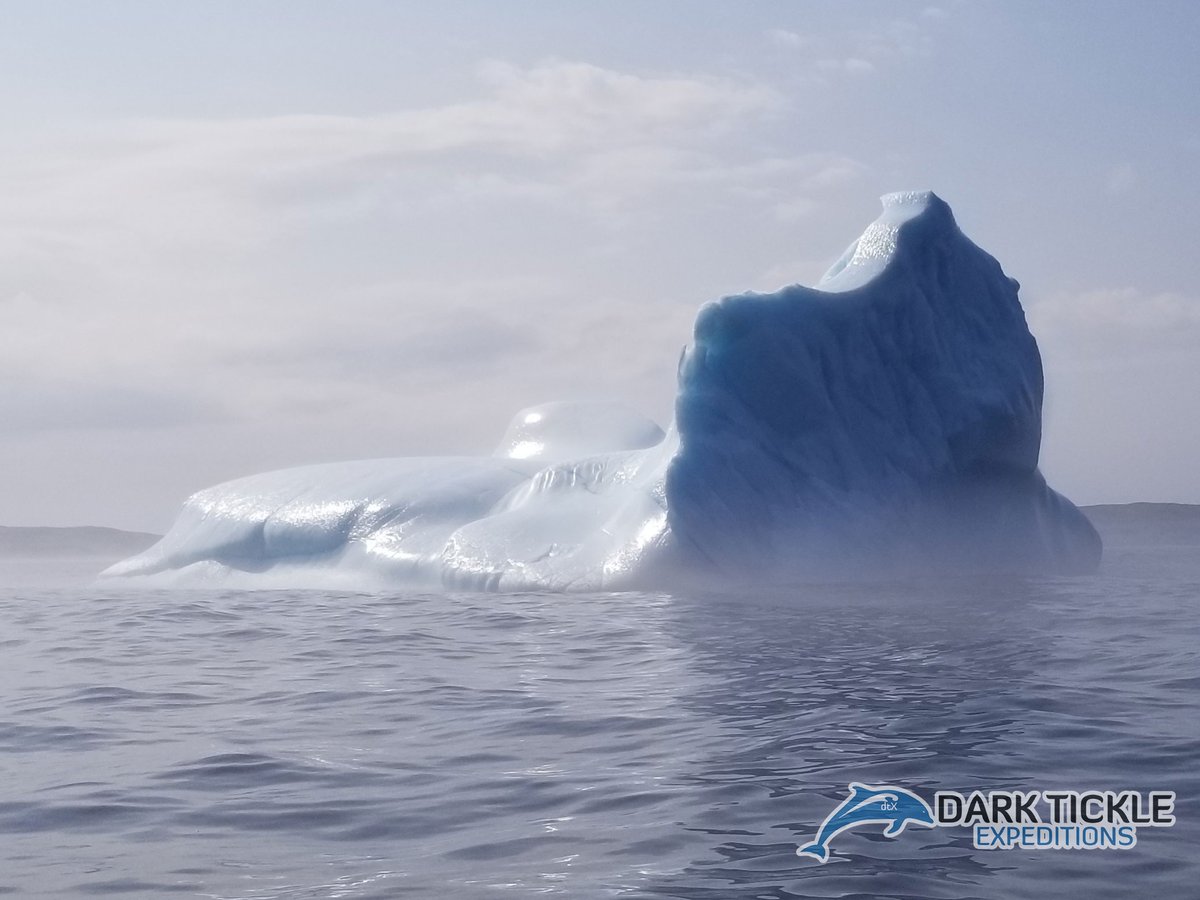 One in the mist from a couple years back. Dark Tickle Expeditions darktickle.com/content/17-dar…  #icebergsnl #icebergs #exploreNL #exploreCanada