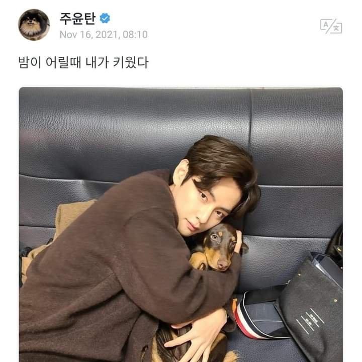 ᴀᴇ ִֶָ𖧧 💗 tweet media