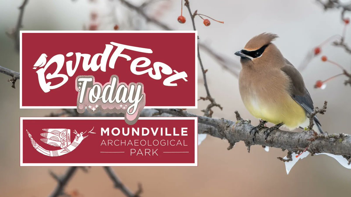 MoundvillePark's tweet photo. #Birdfest is TODAY at @MoundvillePark! 🐦 Our bird walk starts at 9 AM. We'll also have info on 🦅 wildlife conservation, bird watching ✅ checklists, birdhouse plans, and make and take crafts!
MORE INFO: ➡️ https://t.co/XkrBa6TKuy
#UAMuseums #RollTide #Alabama #Birdwatching https://t.co/sY8TPCRswL