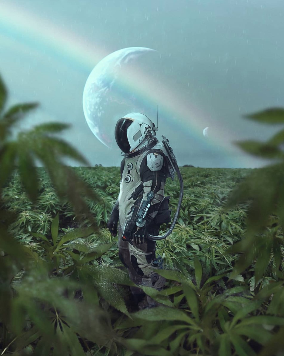 cannabishub's tweet photo. Astral!

#cannabis #stonerfam #legalizeIt #weedmob https://t.co/lUc0NLgz1q