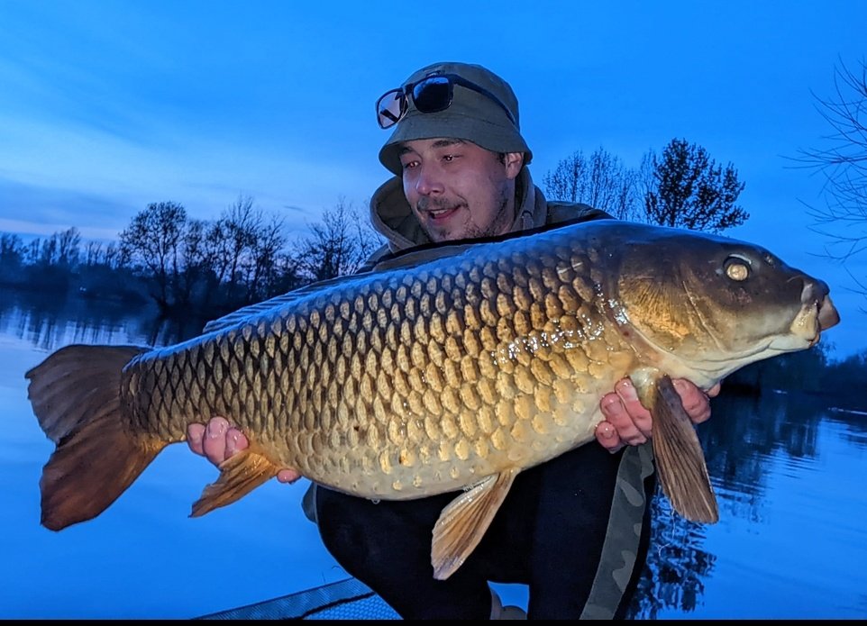 N.B.D baits tweet media