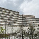 ツイートに含まれる画像