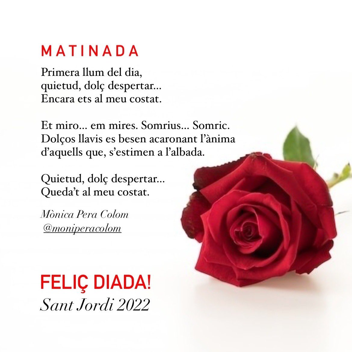 PeraColom's tweet photo. Bona Diada de Sant Jordi 🌹📚 Avui m’estreno com a escriptora! https://t.co/EsKyFcglOP