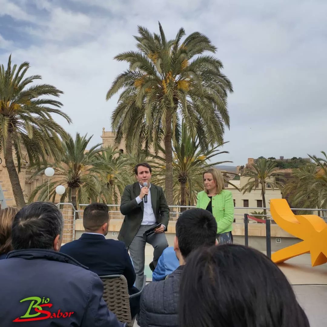 Los productos de V Gama de #BIOSABOR se presentan en el bodegón de productos que irán a la Feria del Salón #Gourmet en el stand de <a href="/saboresalmeria/">SaboresAlmería</a>