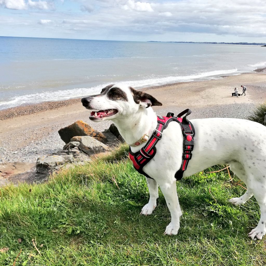 Paul Dunphy Esquire. 🏳️‍🌈 tweet media