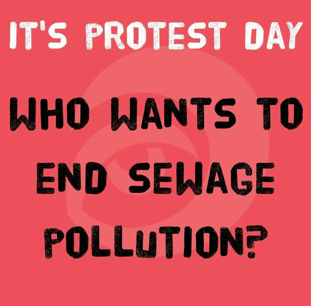 It's protest day! Who wants to #EndSewagePollution? 🪧📢⚠️💩✊

We can't wait to see (and hear) all you #OceanActivists out on the streets, demanding action from the water company fat cats who have been polluting our planet, all in the greedy pursuit of … instagr.am/p/Ccr3HgeOjLy/