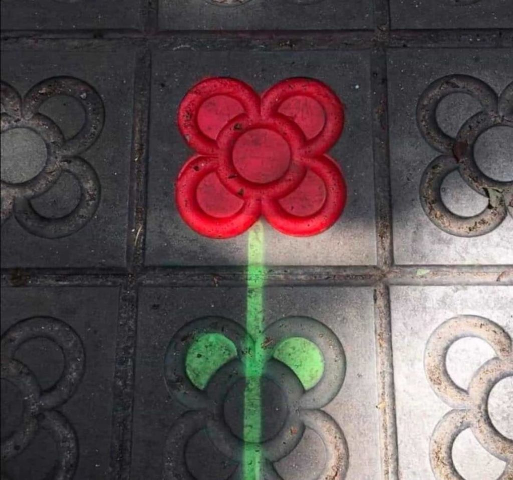 jm_allue's tweet photo. Un dia dedicat als llibres i les roses com a símbol de la cultura i de
l'amor sempre és un bon dia. 
Feliç Sant Jordi!! https://t.co/iJ7WWqelMi