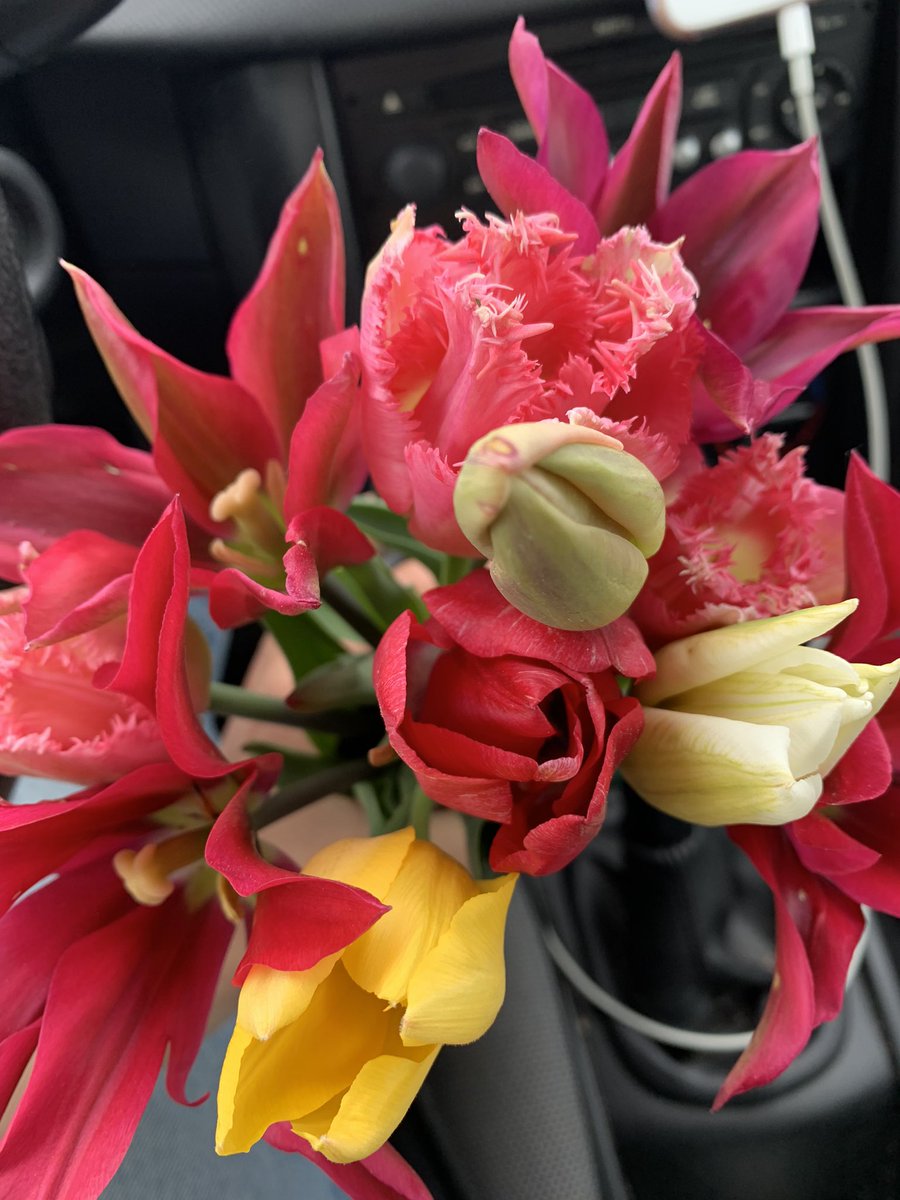 heulsusii69's tweet photo. Kauft eurer Mama Blumen https://t.co/7B0CinBNvr