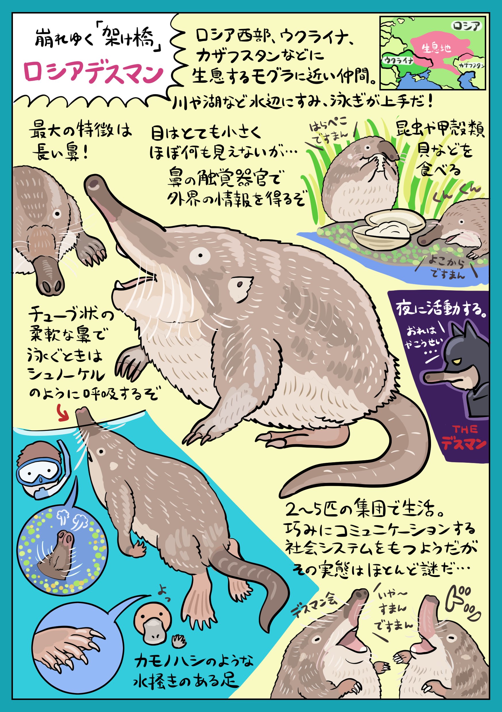 ぬまがさワタリ ゆかいないきもの超図鑑 ３ ８発売 知る人ぞ知る不思議な動物 ロシアデスマン の図解です 奇妙な長い鼻を駆使し 地を這い水を泳ぐ謎だらけの哺乳類 ロシアとウクライナの国境にまたがって生息する 架け橋 のような動物でもあり