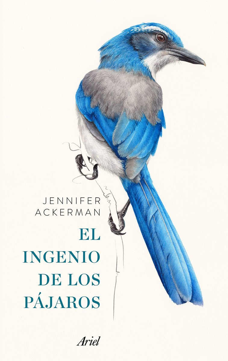 PDivulgativo's tweet photo. En #PD17, recomendamos "El Ingenio de los Pájaros", de Jennifer Ackerman. Un análisis sobre estos animales que, en realidad, son mucho más inteligentes de lo que puedan parecernos. https://t.co/Ed1AfbZXKN