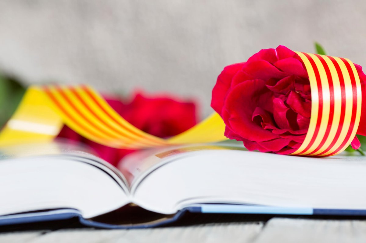 Festa d'amor a la Vida expressada amb llibres i flors... Rosa amb espines, reflex del camí del cor... I llibres, molts llibres, coneixement intens en acció... 
M'enamoren les persones q estimen la festa d'avui, 
q estimen la poesia, la delicadesa i la llum... 

Feliç Sant Jordi!