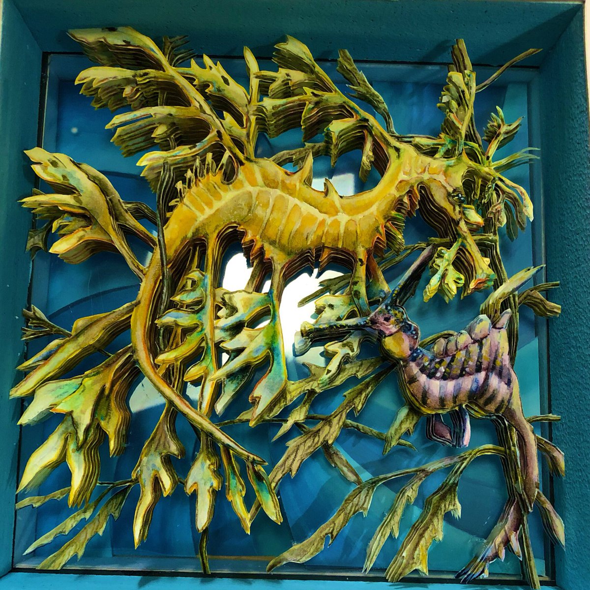 リーフィーシードラゴン のモデル作品 1 件 Twoucan リーフィーシードラゴン のモデル作品 1 件 Twoucan