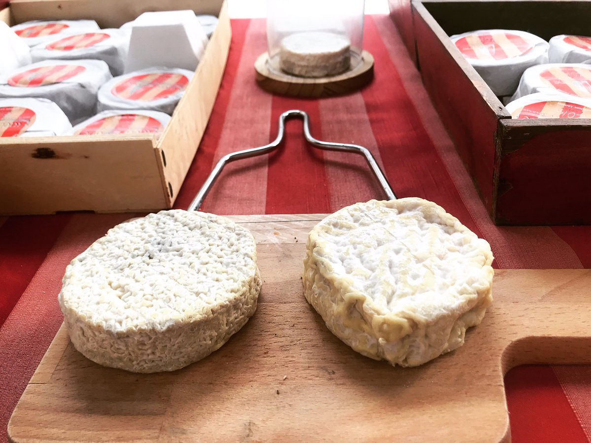 wellDone_quesos's tweet image. "No puedes comprar la felicidad 🌼 ... ¡pero puedes comprar queso y es casi lo mismo!

“Edades diferentes, cortezas diferentes”
#wellDone #quered #somosquered