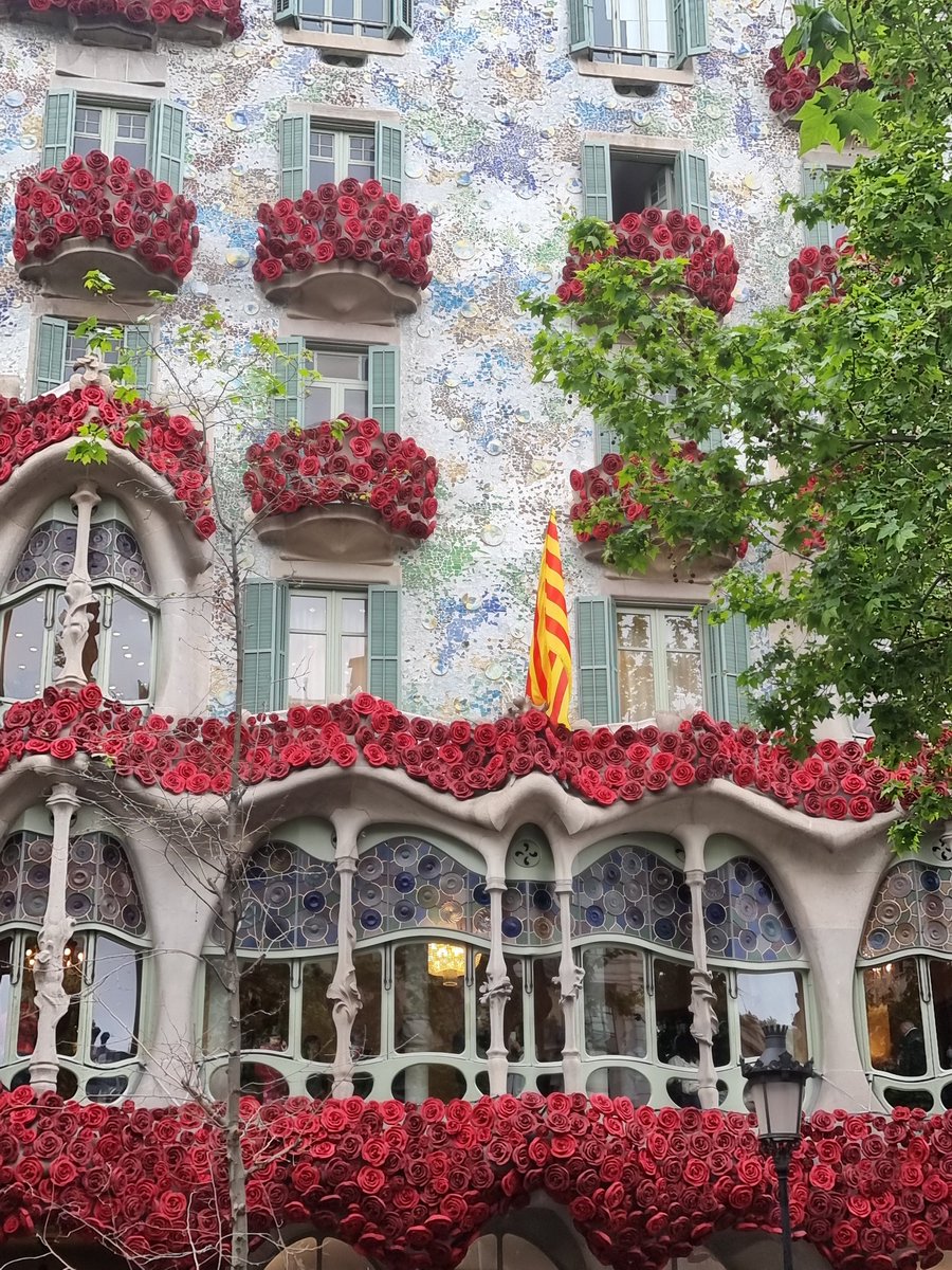 Teresa Pintó Cornellana 🎵📚🖍️🗓️🗝️➡️ tweet media