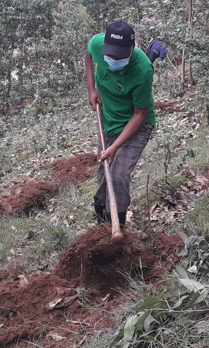 KamubugaS's tweet photo. @GakenkeDistrict ibikorwa by'umuganda mu murenge wa @KamubugaS byaranzwe no gucukura imirwanyasuri mu mashyamba atandukanye hano mu murenge. ES Sector @inzizaJbosco yifatanije n'abaturage ba Nyarungu Vill @NizeyimanaJmv13 @NyirarugeroD @MushaijaGeoffr3 @gatjmv @RwandaLocalGov https://t.co/IRBCODN5uC