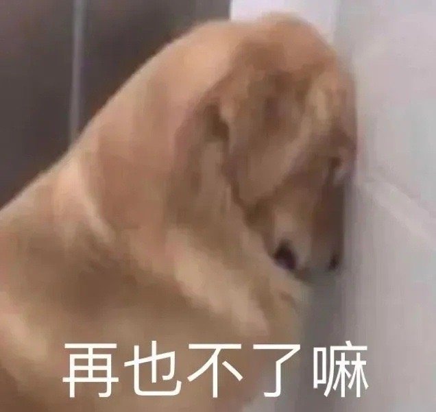 HeakReynard's tweet photo. 今日表情包 https://t.co/504GKZonVD