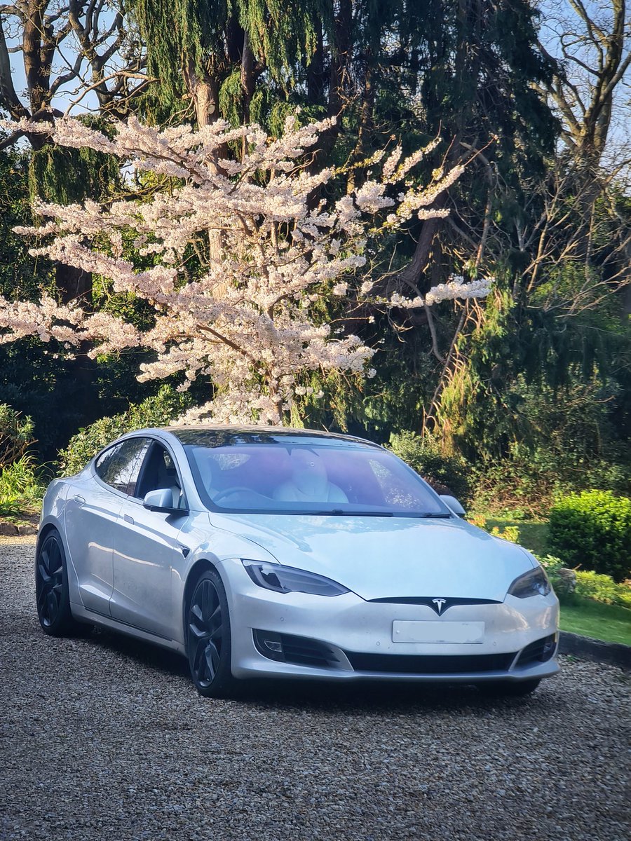 Dan Portch ⭕ tweet media