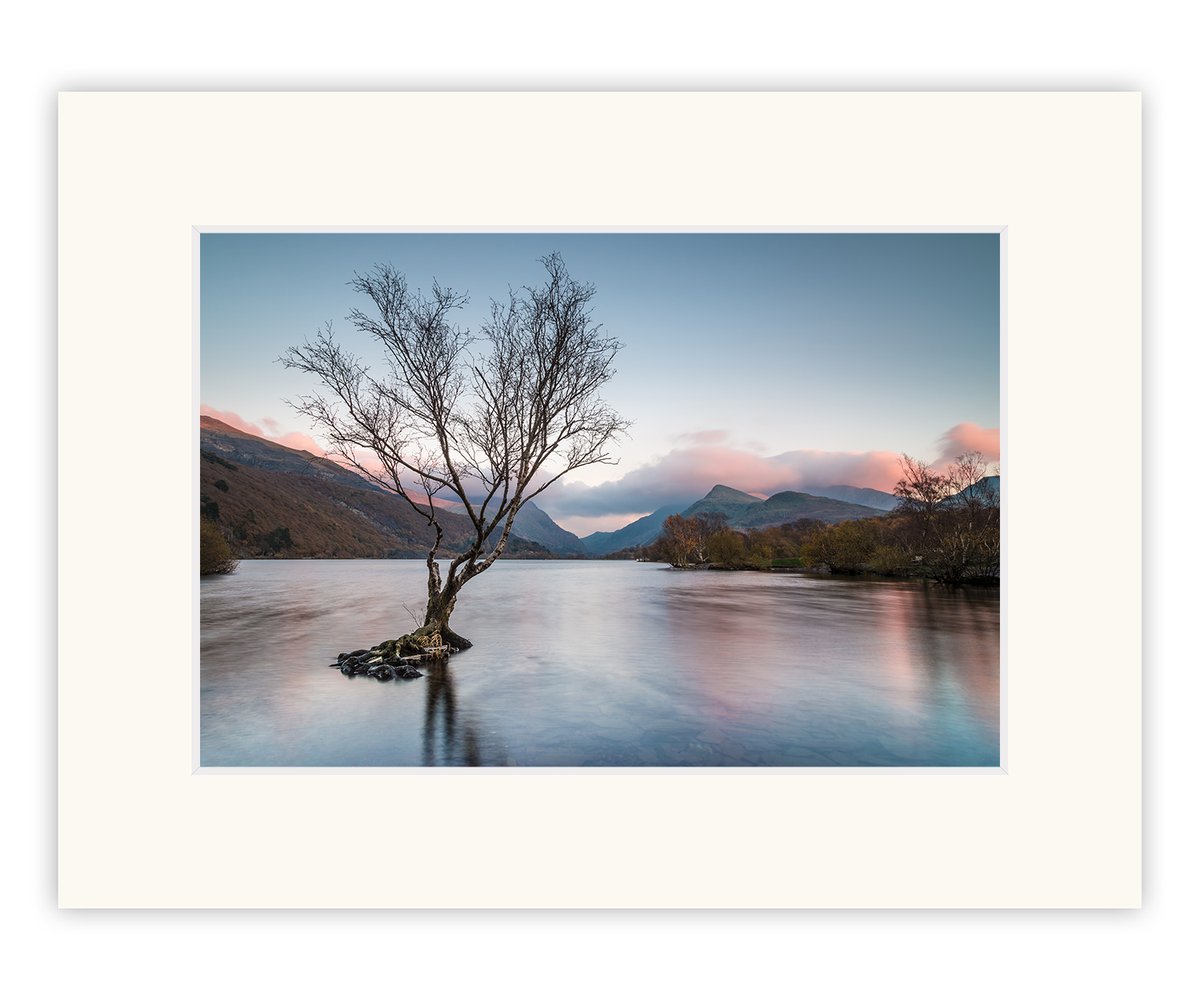 SmartImagingUK's tweet photo. Our biggest sale ever!
12x8" prints, mounted to 16x12", over 100 images to choose from. 
Just £15.00 each or TWO for £25.00.
Price includes UK P&amp;P
https://t.co/e8s7iYhXfw

#Snowdonia #Landscape #Photograph #NorthWales #Prints #Sale #Sunset #Cymru #LlynPadarn #Lake #Rainbow #Tree https://t.co/MkCqweGP3T
