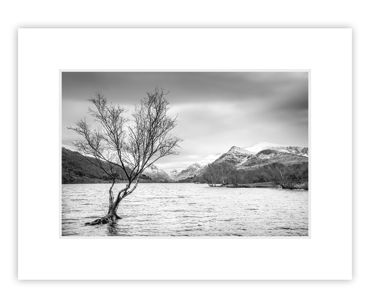Our biggest sale ever!
12x8" prints, mounted to 16x12", over 100 images to choose from. 
Just £15.00 each or TWO for £25.00.
Price includes UK P&amp;P
facebook.com/media/set/?set…

#Snowdonia #Landscape #Photograph #NorthWales #Prints #Sale #Sunset #Cymru #LlynPadarn #Lake #Rainbow #Tree