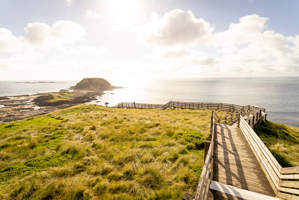 nathsway's tweet photo. Welcome to #visitmelbourne's stunning Phillip Island AKA the penguin capitol of the country! 🐧 A true natural beauty, the rugged landscapes and sweeping coastlines is just the beginning when exploring this part of Victoria 👌 
-
#phillipisland #nobbies #visitvictoria https://t.co/XniY9WE60d