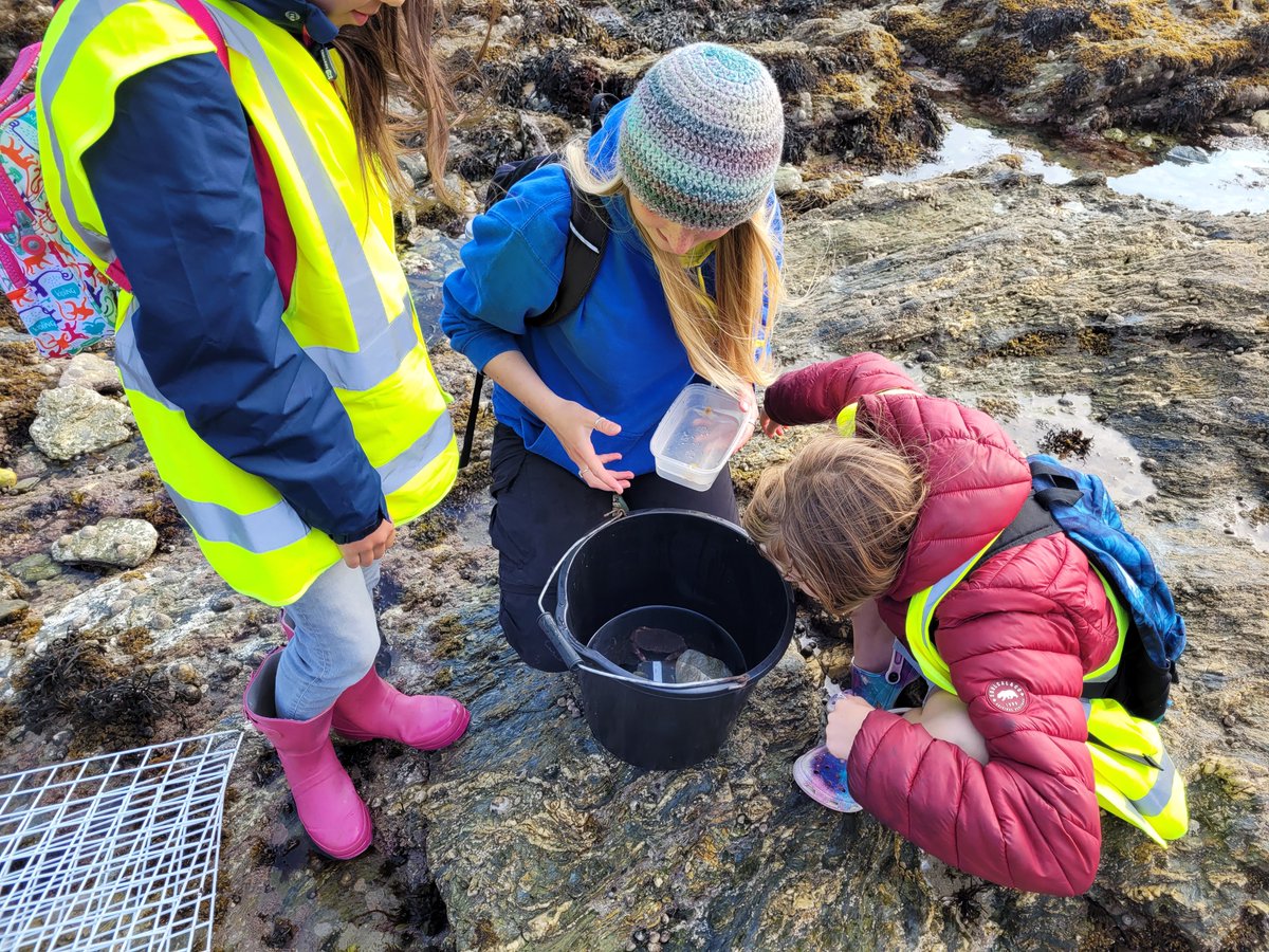 rockpoolproject's tweet photo. Crabs galore! Thank you to everyone who made #time2move successful. #Day4 was another fun one full of crabs. ๐ฆ Can't wait to see what we run next!
#therockpoolproject @T2MHolidayProg @PavilionFal https://t.co/kSOYEP7RHQ