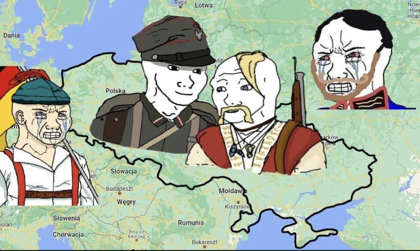 Dogo Von Meme tweet media