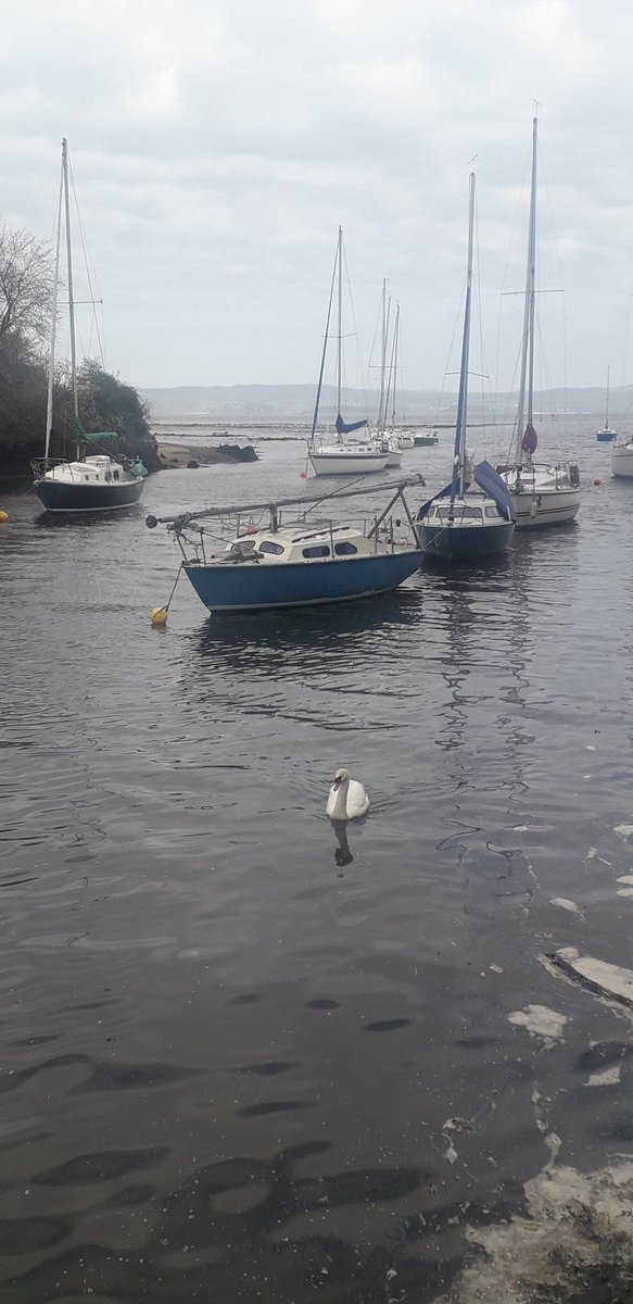 aljaroo1874's tweet photo. It's hard to believe that you can be running with 4/5/600 people @EdinburghParkrun walk 500 meters in the opposite direction and see absolutely no one!!
#Peaceful #Calmness
@parkrunUK
#EdinburghParkrun
#Cramond
#Edinburgh
#running
#run https://t.co/9hVwexfz7E