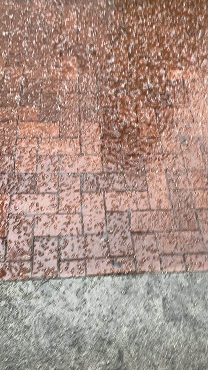 HolaMariola's tweet image. #SantJordi2022 amb pedregada, connexió amb @elsuplement, fotos amb altres autors, molts nois buscant la firma @Outconsumer i tot amb molta #FelicitatDigital
A les 18h + al Palau Robert 
#ImpulsemCultura