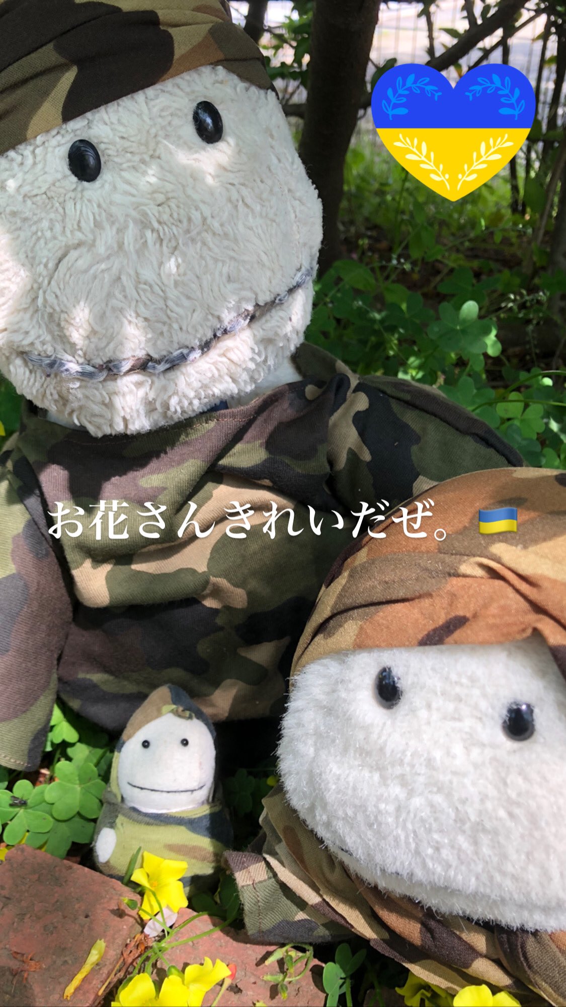 Fred (@Fred_terriot) / X Fred (@Fred_terriot) / X