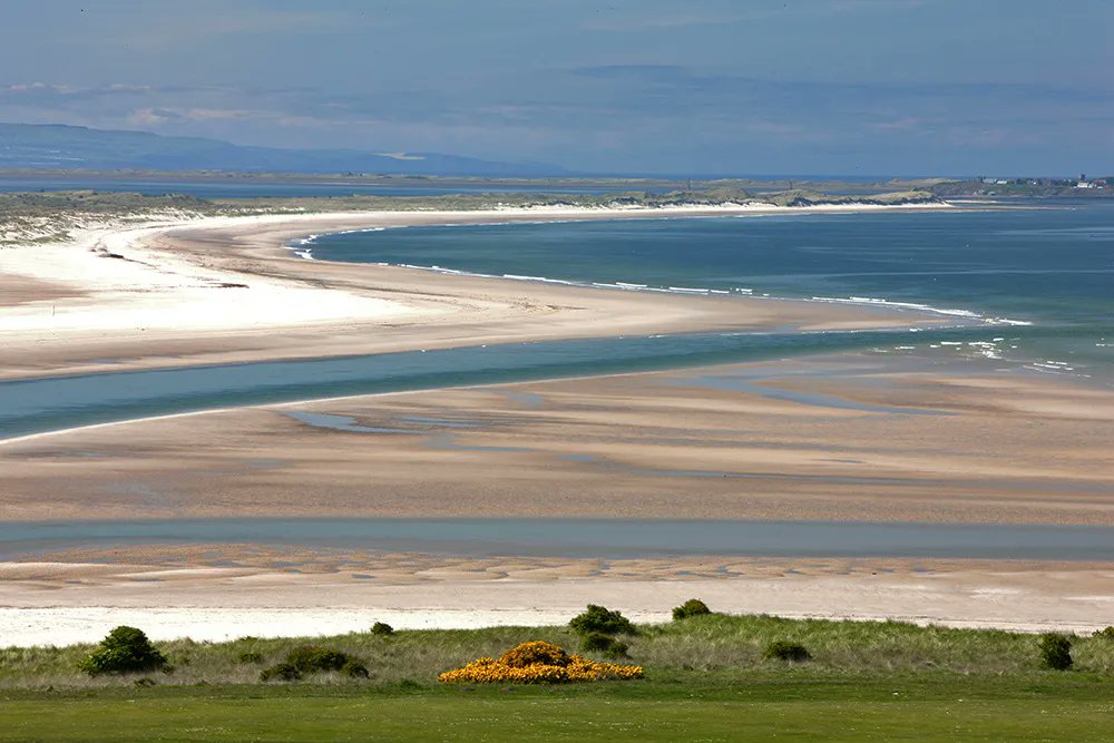 If you’re looking to get back to nature, get over to Budle Bay on the Northumberland coast, teeming with birds and a beautiful one mile estuary for a stroll buff.ly/3MhZNDS   😍