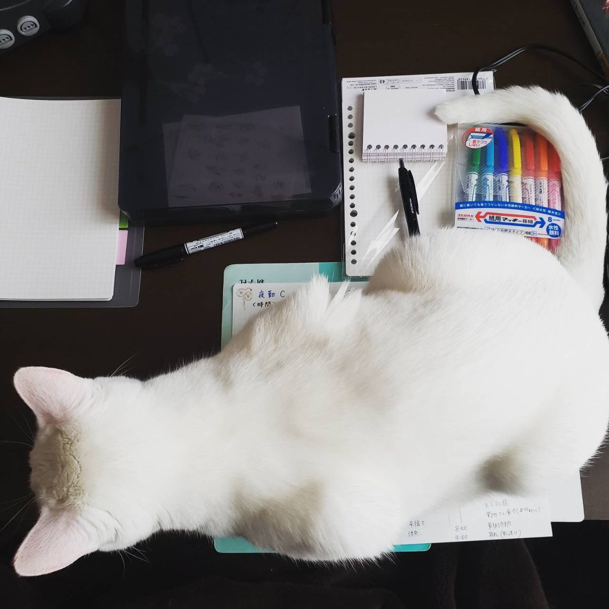 仕事をさせてくれないテトくん